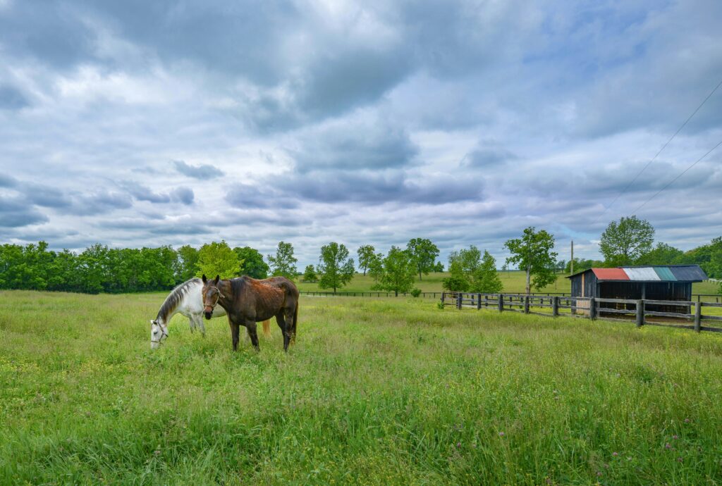 Scenic landscape of Williamstown, Kentucky surrounded by natural beauty