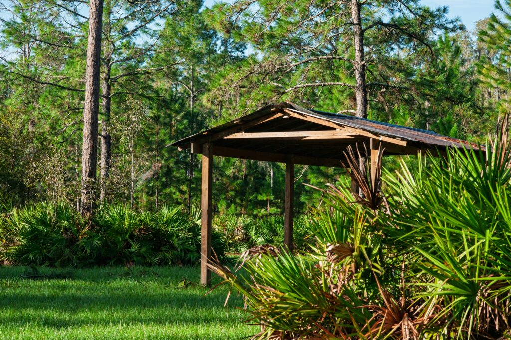Saw Palmetto Para Que Sirve guide to prostate health, urinary concerns, hair uses, scientific evidence, supplement effects, interactions, and precautions.