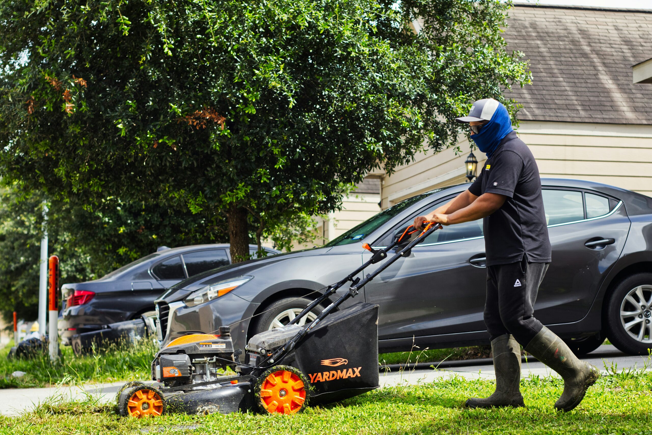 Which Lawn Types Offer the Best Balance of Durability and Appearance?